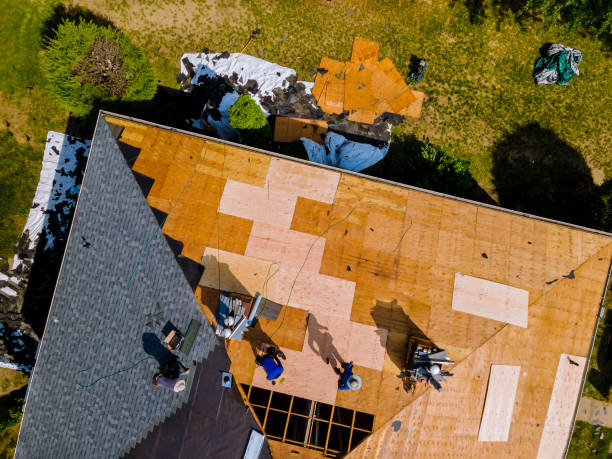 Best Metal Roofing Contractor  in Mayflower, AR